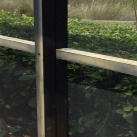 Algae and faded aluminum paint - Impact Enclosures - Screen Enclosure Repair - Jacksonville, FL