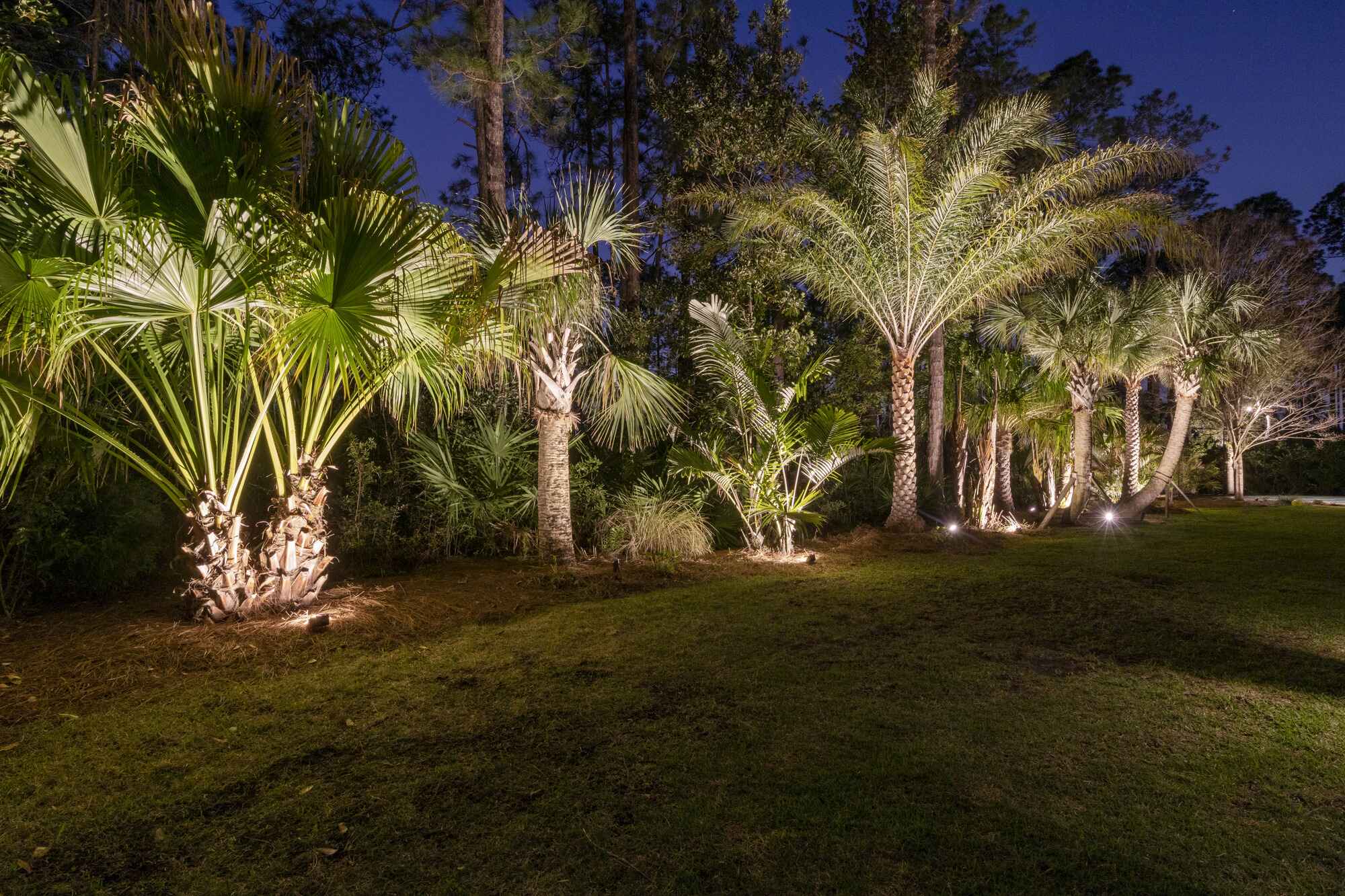 Jacksonville Outdoor Lighting